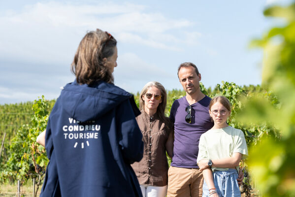Côte-Rôtie Tour de Vignobles en Scène