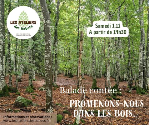 imgcarousel-name-mising