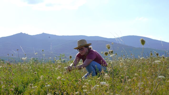 Atelier Plantes Sauvages & Apiculture_Malleval