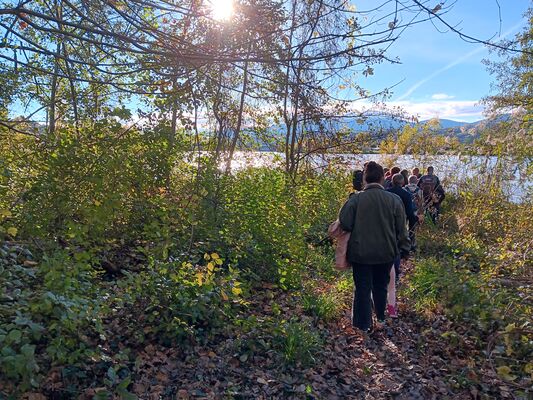 Une forêt pas comme les autres_Tupin-et-Semons