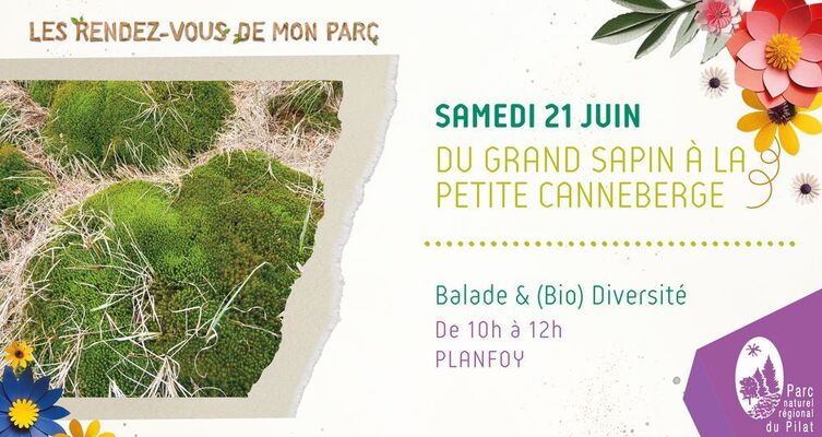 Les Rendez-vous de mon Parc "Balade et (bio)diversité"_Planfoy