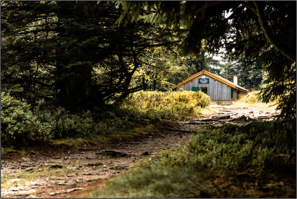 Séjour rando guidée 2j sur les Crêts_Le Bessat