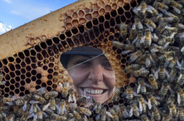 Atelier Plantes Sauvages & Apiculture_Malleval