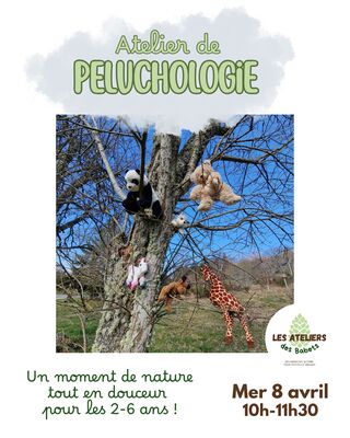 imgcarousel-name-mising