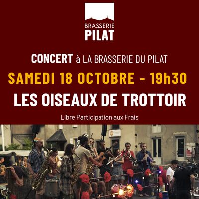 La Brasserie du Pilat - Concert - Les Oiseaux de Trottoir_Saint-Julien-Molin-Molette