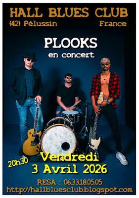 Concert "The Plooks " - Hall Blues Club_Pélussin