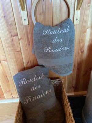 RoulCab des Pinatous - La Cabane_Saint-Sauveur-en-Rue