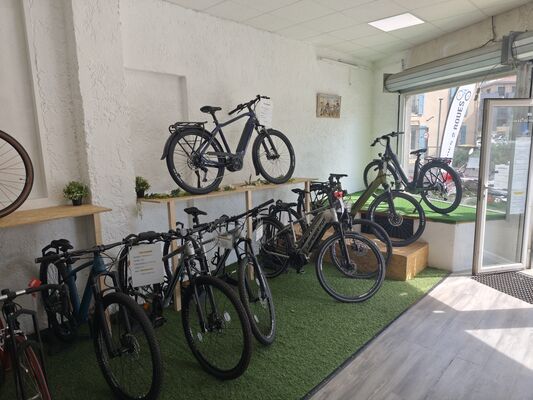 L'Ami des 2 roues : réparation et location de vélos_Condrieu