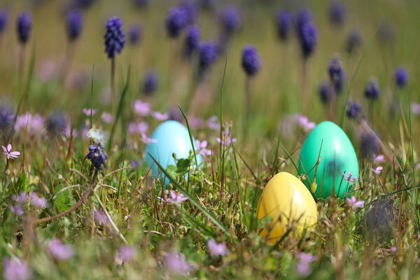 Chasse aux oeufs dans les vestiges_Saint-Romain-en-Gal