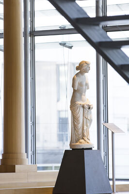 Aphrodite-