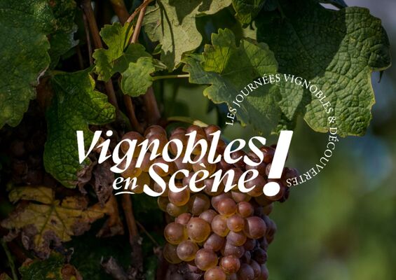 Séjour spécial "Vignobles en Scène"_Chavanay