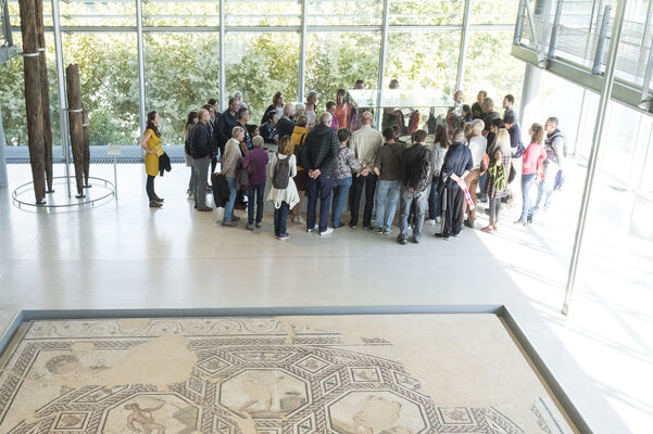 Visite guidée : Musée_Saint-Romain-en-Gal
