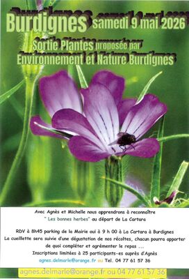Sortie Plantes_Burdignes