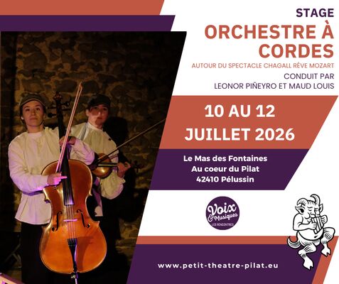 Stage Orchestre à cordes - Voix & Musiques 2026