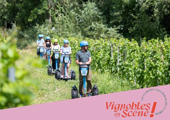 Balade en gyropodes dans les vignobles
