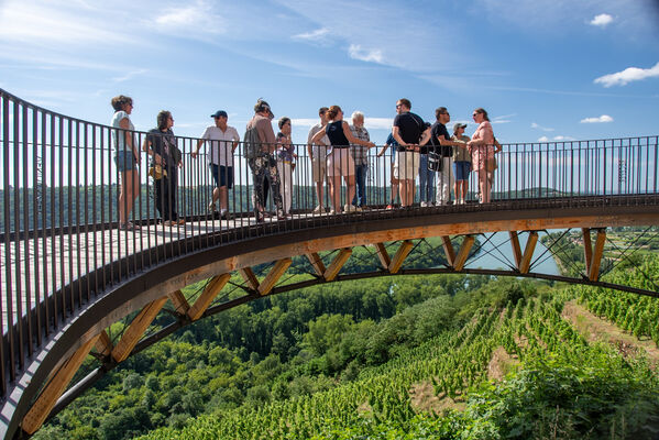 Séjour spécial "Vignobles en Scène"_Tupin-et-Semons