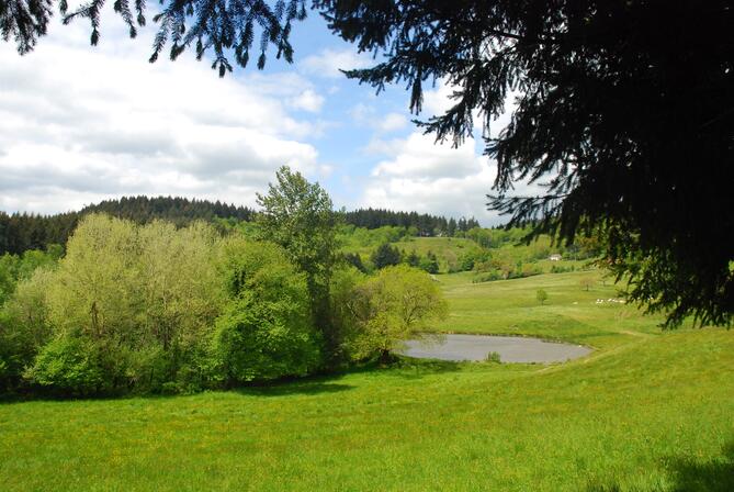 Etang du Moirans Merle ©Mathilde Josset.jpg