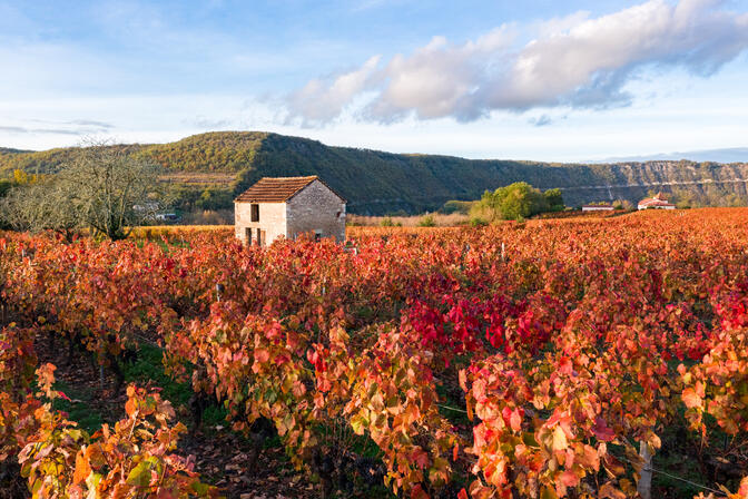 Vignoble de Cahors en automne à Parnac © C. Novello - Lot Tourisme 201029-170430.jpg