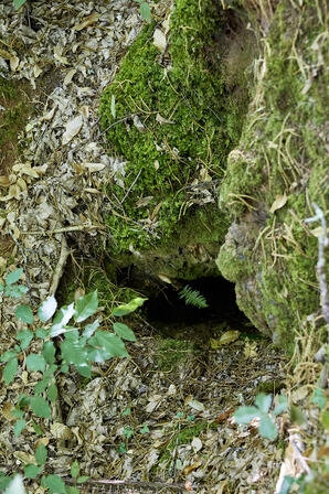 Excavation 02 © N.Blaya Département du Lot.jpg