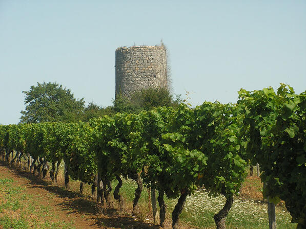 colombier-moulins.jpg