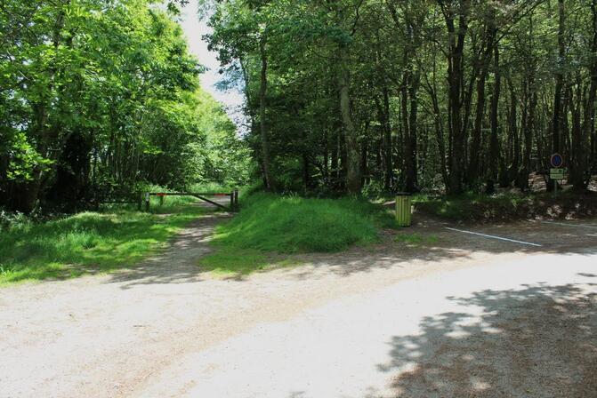 OTDZ---Bois-du-Nevet---10-06-2014--4-.JPG
