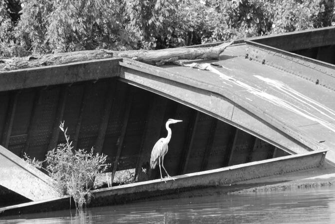 14975122_fluvial_chalon_saone_jm_14jpg.jpg
