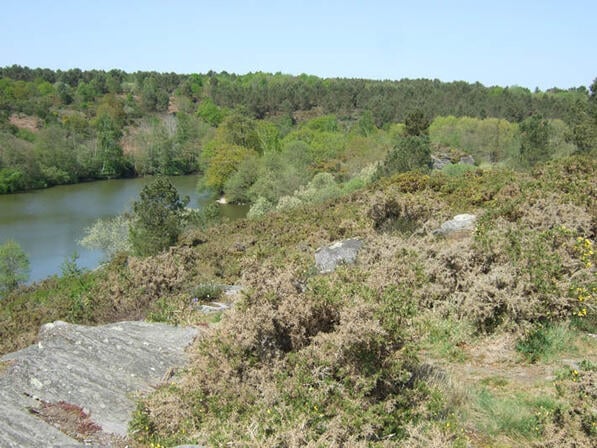 RANDOBRE0350004T-Circuit-VTT-Des-Megalithes--Paysage-depuis-le-haut-du-Vieux-bourg-a-St-Just.jpg