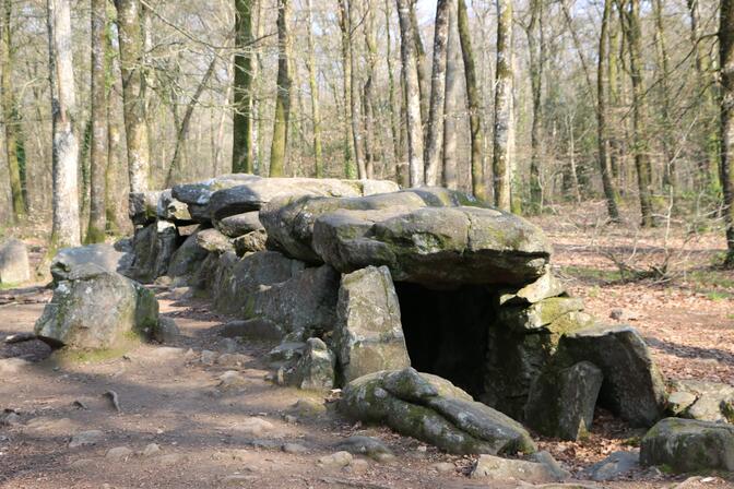 Allee-couverte-Foret-du-Mesnil---Le-Tronchet-SMBMSM-8294.JPG