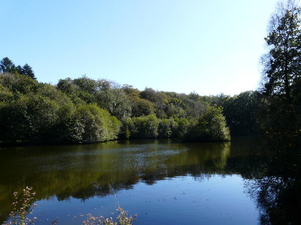 etang-des-Comprejou.JPG