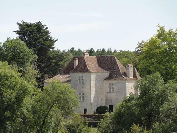 Vue-sur-le-Chateau-de-la-Fontvieille.jpg