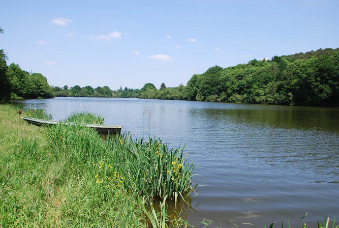 RANDOBRE0350004N-Circuit-VTC-des-Saulniers-et-des-Landes--etang-serpaudais-a-St-Sulpice.jpg