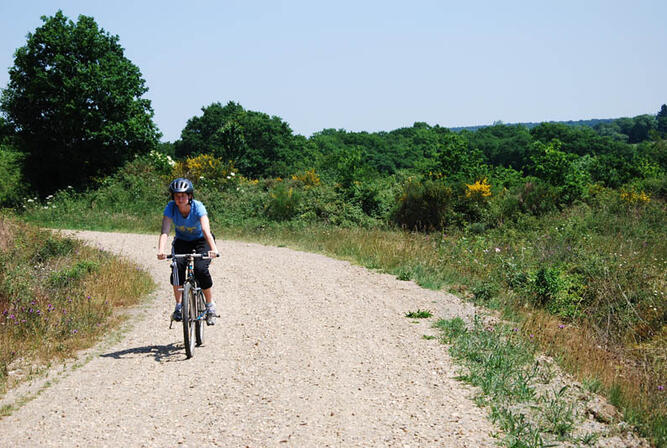 RANDOBRE0350004N-Circuit-VTC-des-Saulniers-et-des-Landes--vetetiste.jpg