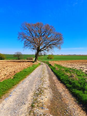 chemin du moinil à héron - J. Simonis version web.jpg