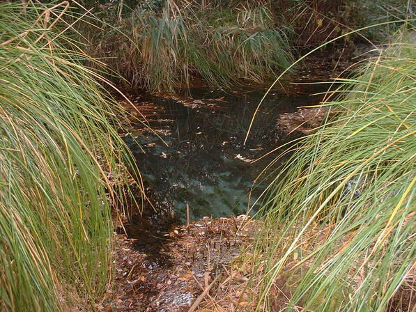 La source de la Gourgue -Gourgue 4.JPG