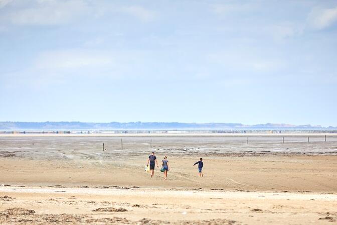 -alamoureux---Baie-Mt-St-Michel.jpg