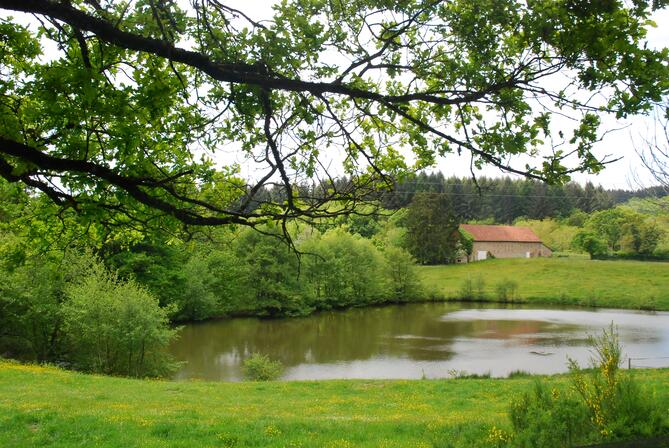 Etang du Champ Trois du Bas 3 ©Mathilde Josset.jpg