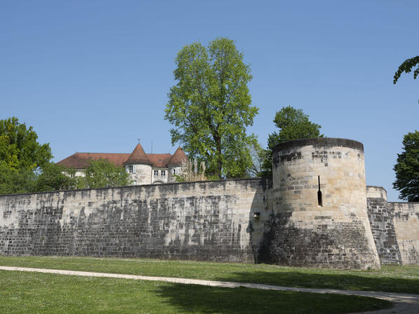 remparts et chateau P.Bourguignon @OT Lac du Der.jpg