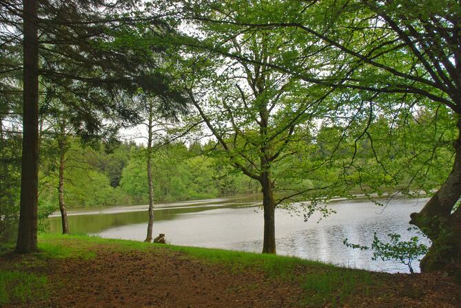 Etang du Prieuré ©Mathilde Josset.jpg