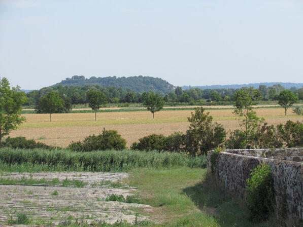 RANDOBRE0350004E-Marais-de-Dol-vue-sur-le-Mont-Dol.jpg