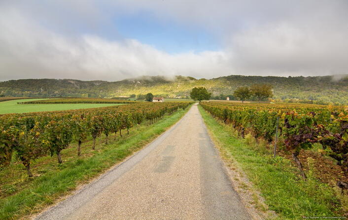 Route au coeur du vignoble © Lot Tourisme C. Novello 151008-113929_800x507.jpg