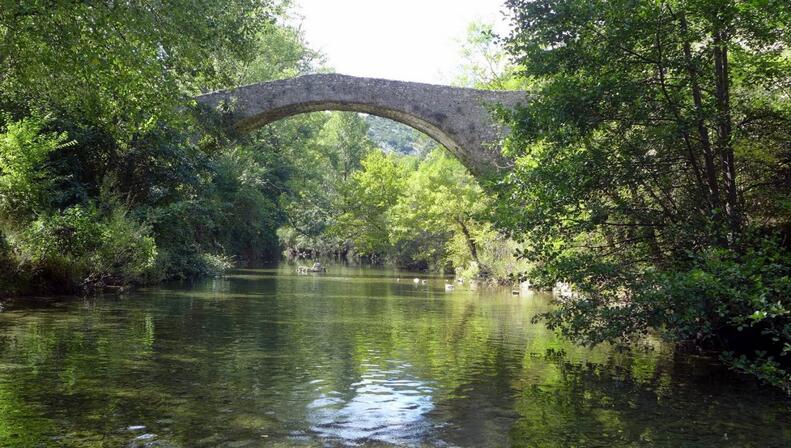 Pont moutonnier - © SMGSNav.jpg