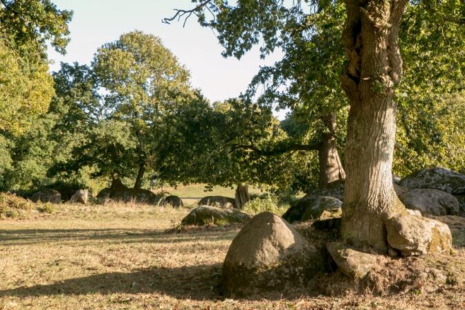 -Benjamin-Devaux-LDD-Boules-volantes.jpg