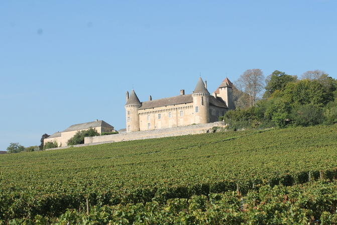 1925393_072-chateau_de_rullyjpg.jpg