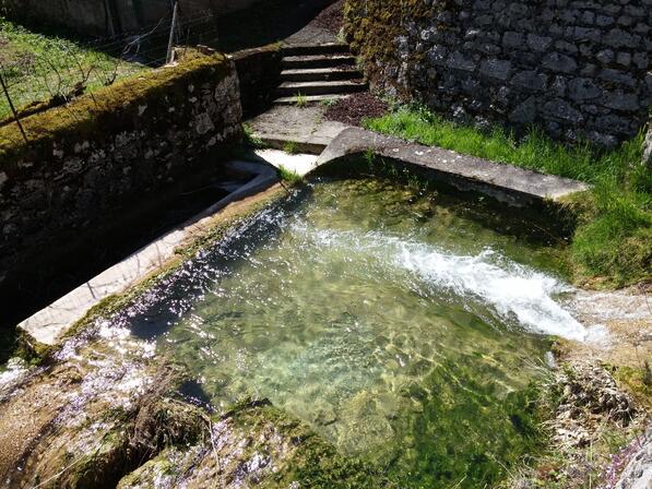 détail du lavoir.jpg