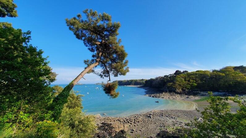 Port-Picain---Cancale-SMBMSM-2672-1200px.JPG