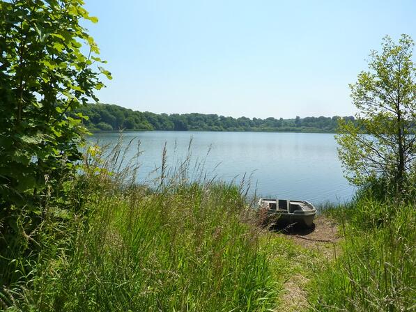 Etang-de-Bazouges--OTSMBMSM.JPG