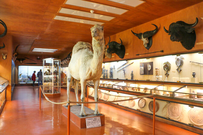 rochefort-ocean-ile-aix-musee-africain © Julie Paulet - OT Rochefort Ocean (10).JPG