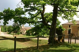 Lavaur-site-de-l-ancien-chateau-.jpg