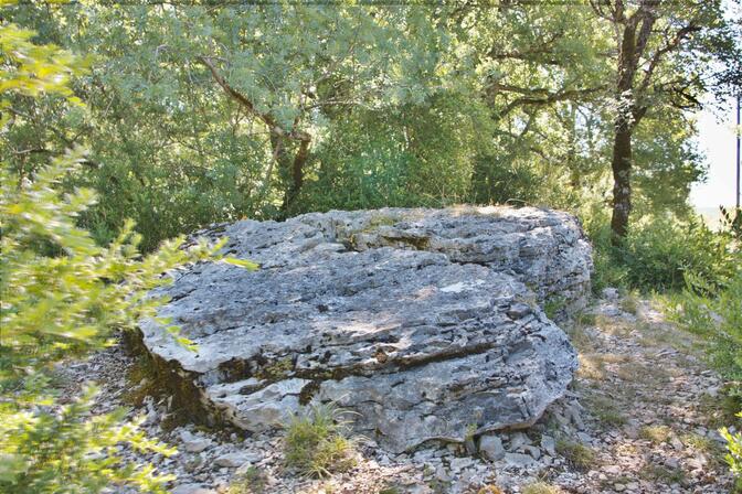 5b - Le dolmen de Pierre Levée_1.jpg