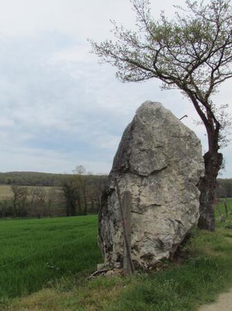 menhir-du-Grand-Tua-a-La-Pregaudais.jpg